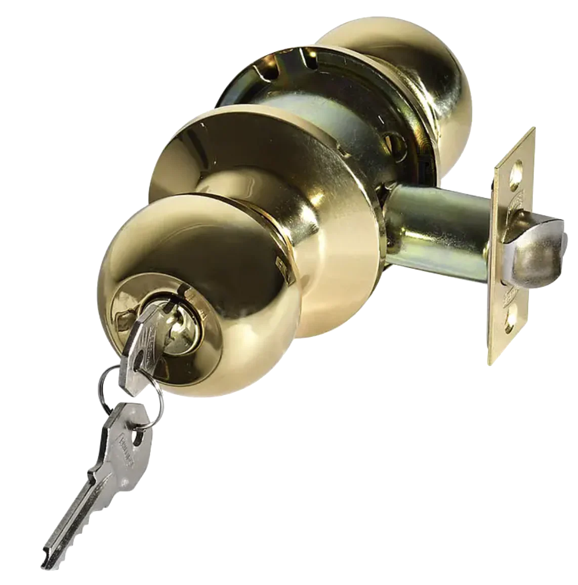 Miniatura 1